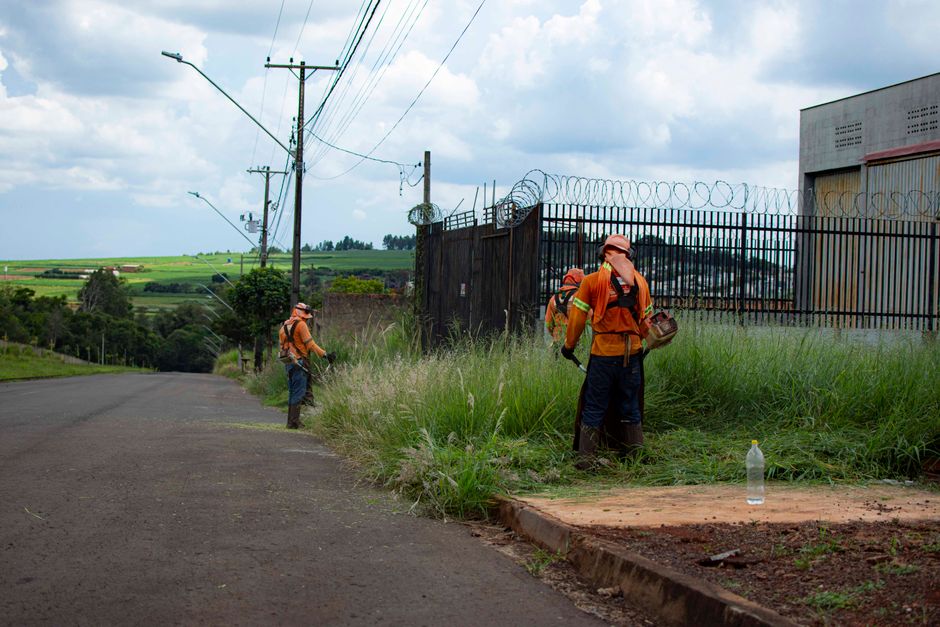 Maintenance workers trimming grass along a road in Londrina, Brazil on a clear day.